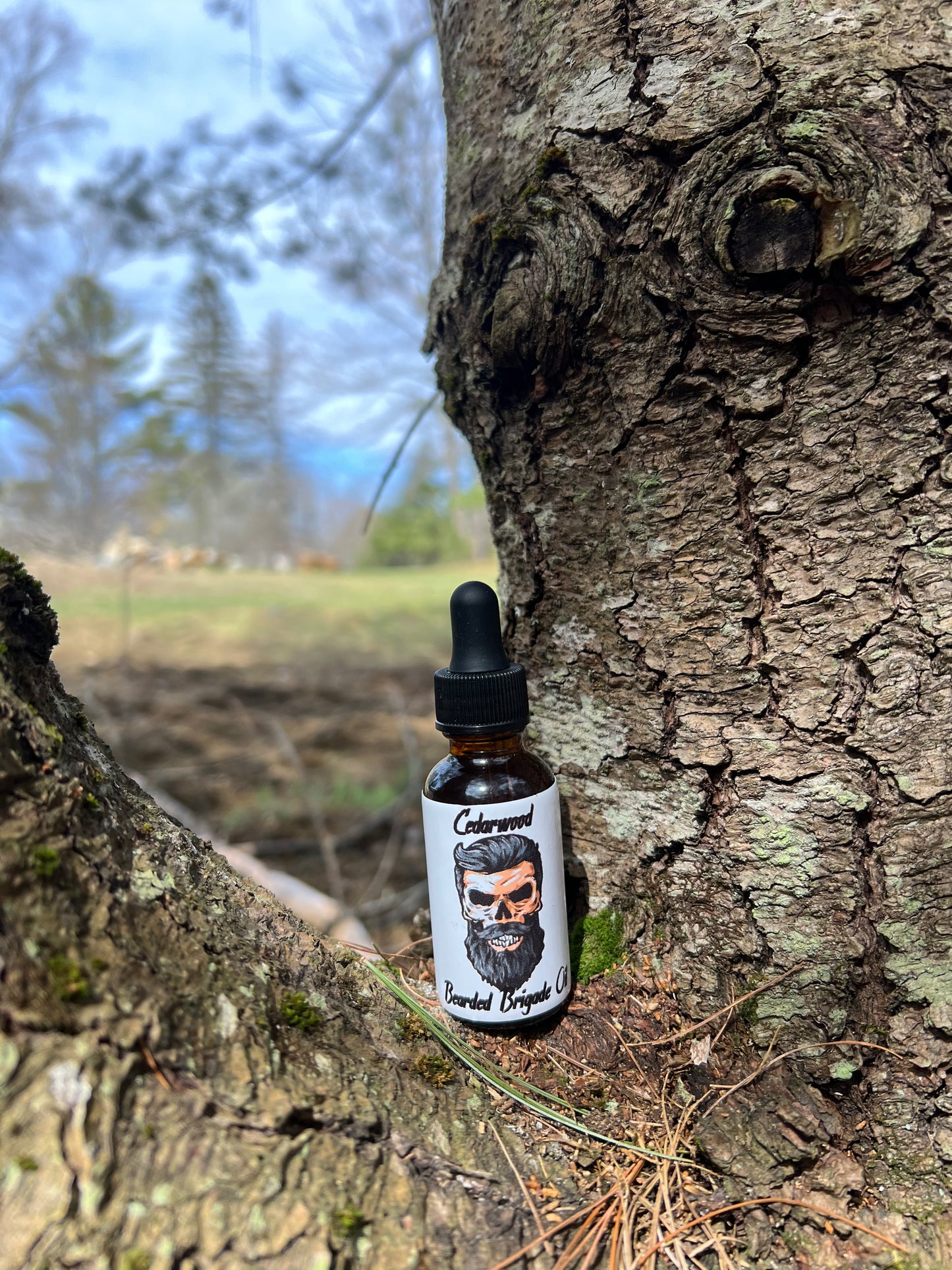 Cedarwood Beard Oil